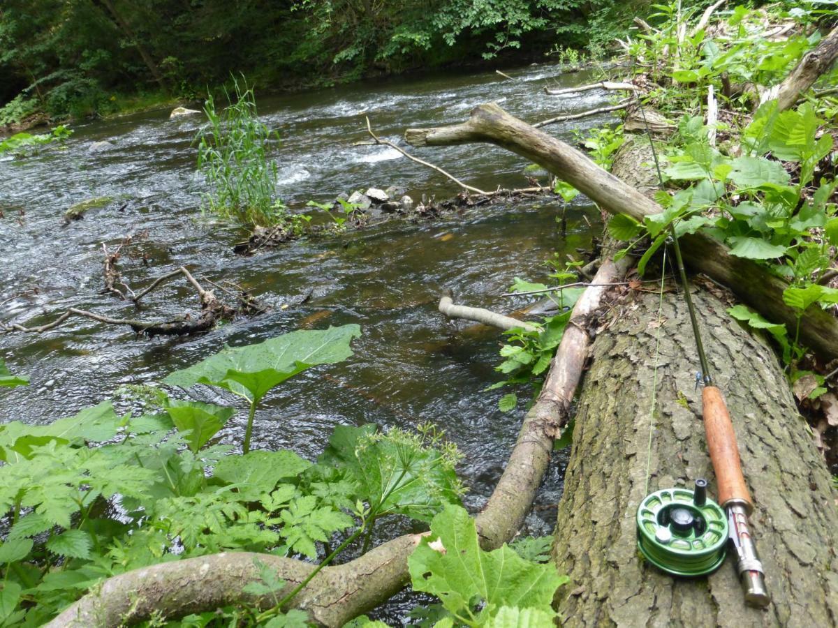 Pension Waldfrieden Thale Esterno foto